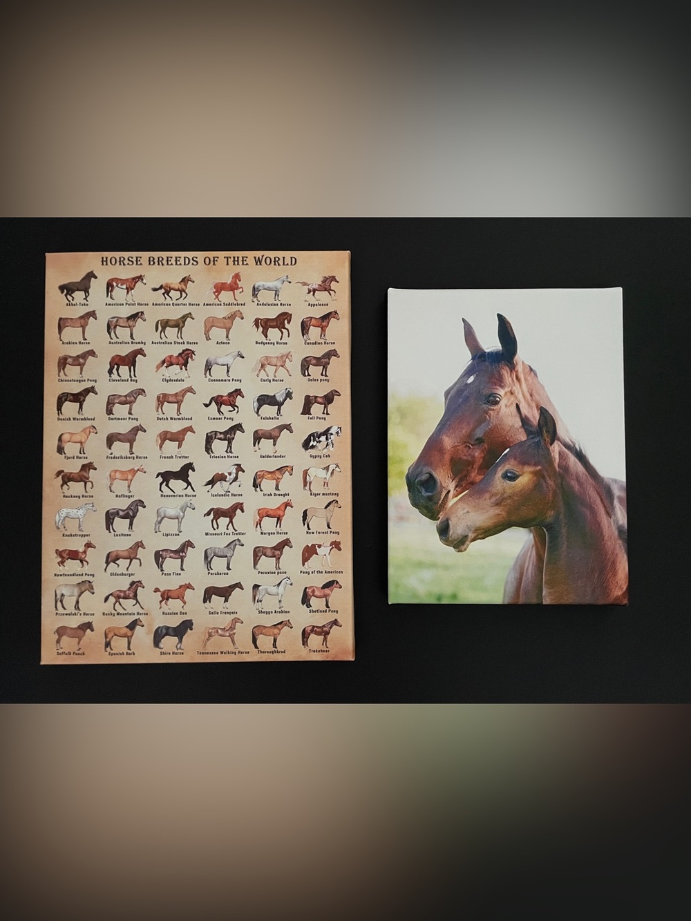 Horse Breed Chart & Horse Canvas Wall Art - Brown & Cream